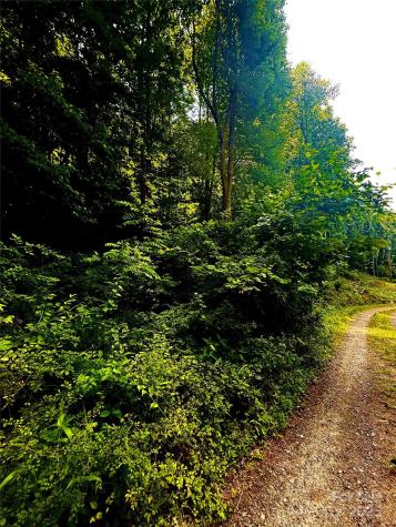 700 Wooded Mountain Trail Mars Hill NC 28754