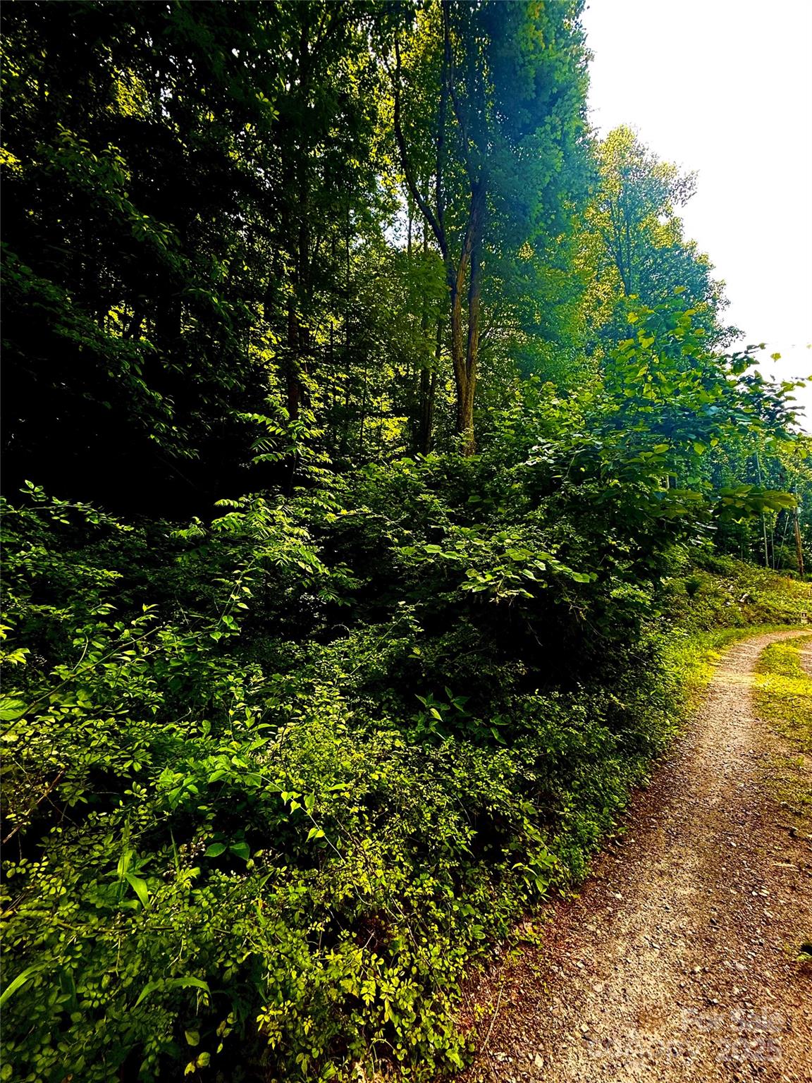 700 Wooded Mountain Trail Mars Hill NC 28754