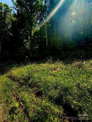 700 Wooded Mountain Trail Mars Hill NC 28754