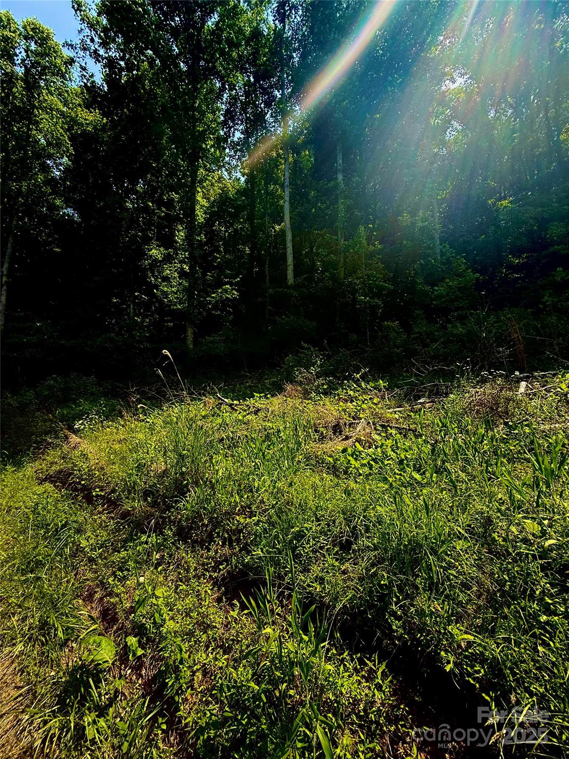 700 Wooded Mountain Trail Mars Hill NC 28754