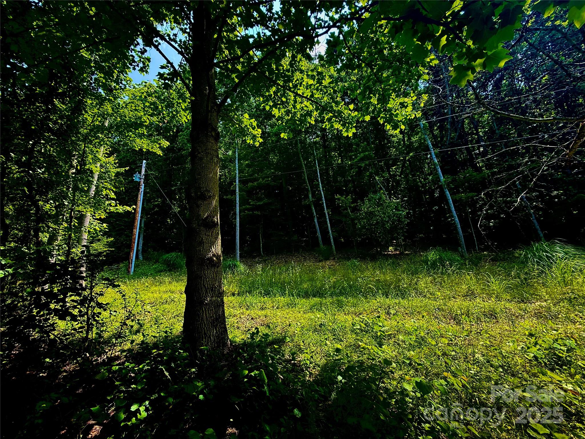 700 Wooded Mountain Trail Mars Hill NC 28754