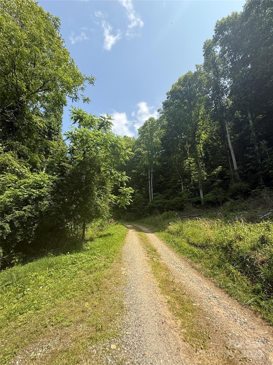 700 Wooded Mountain Trail Mars Hill NC 28754