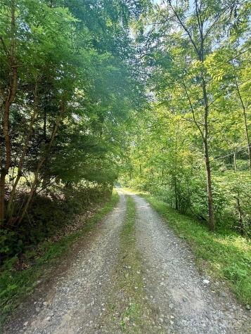 700 Wooded Mountain Trail Mars Hill NC 28754