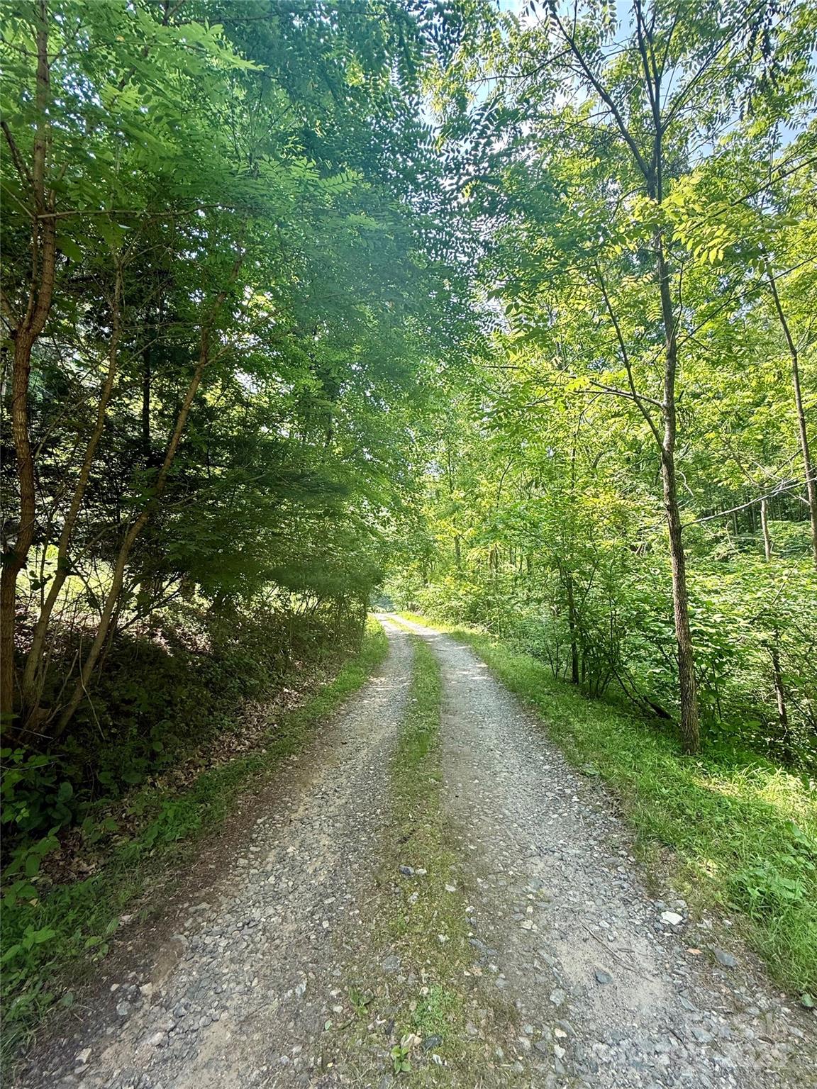 700 Wooded Mountain Trail Mars Hill NC 28754