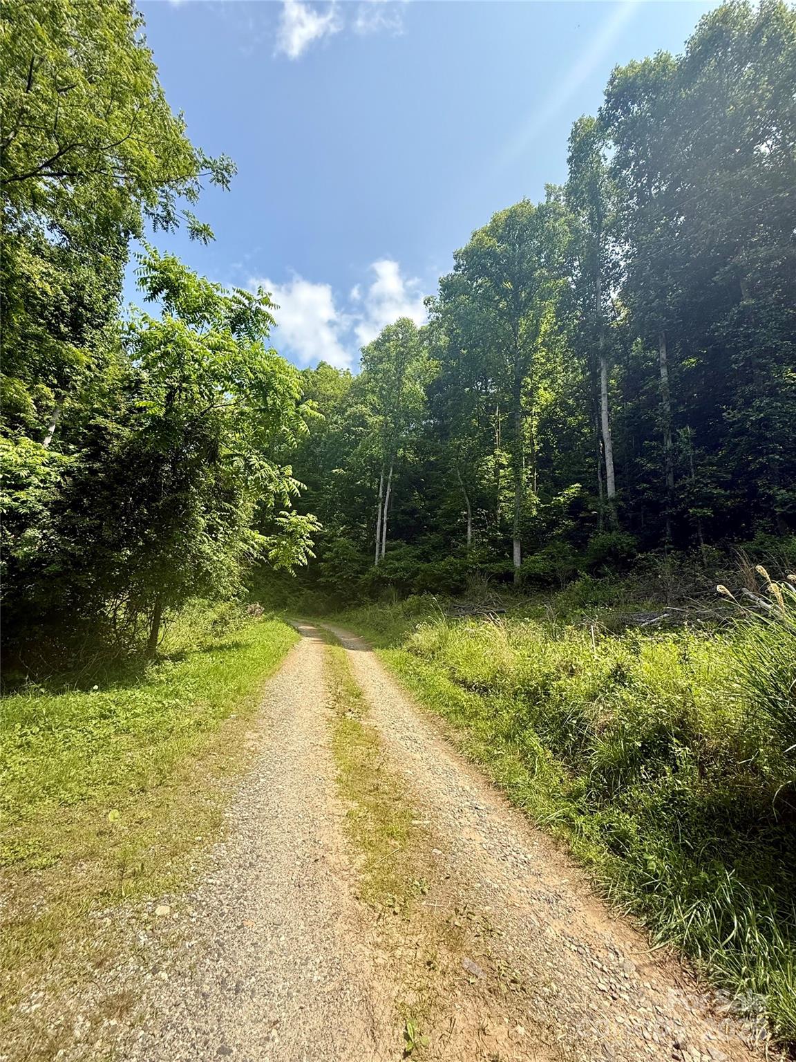 700 Wooded Mountain Trail Mars Hill NC 28754