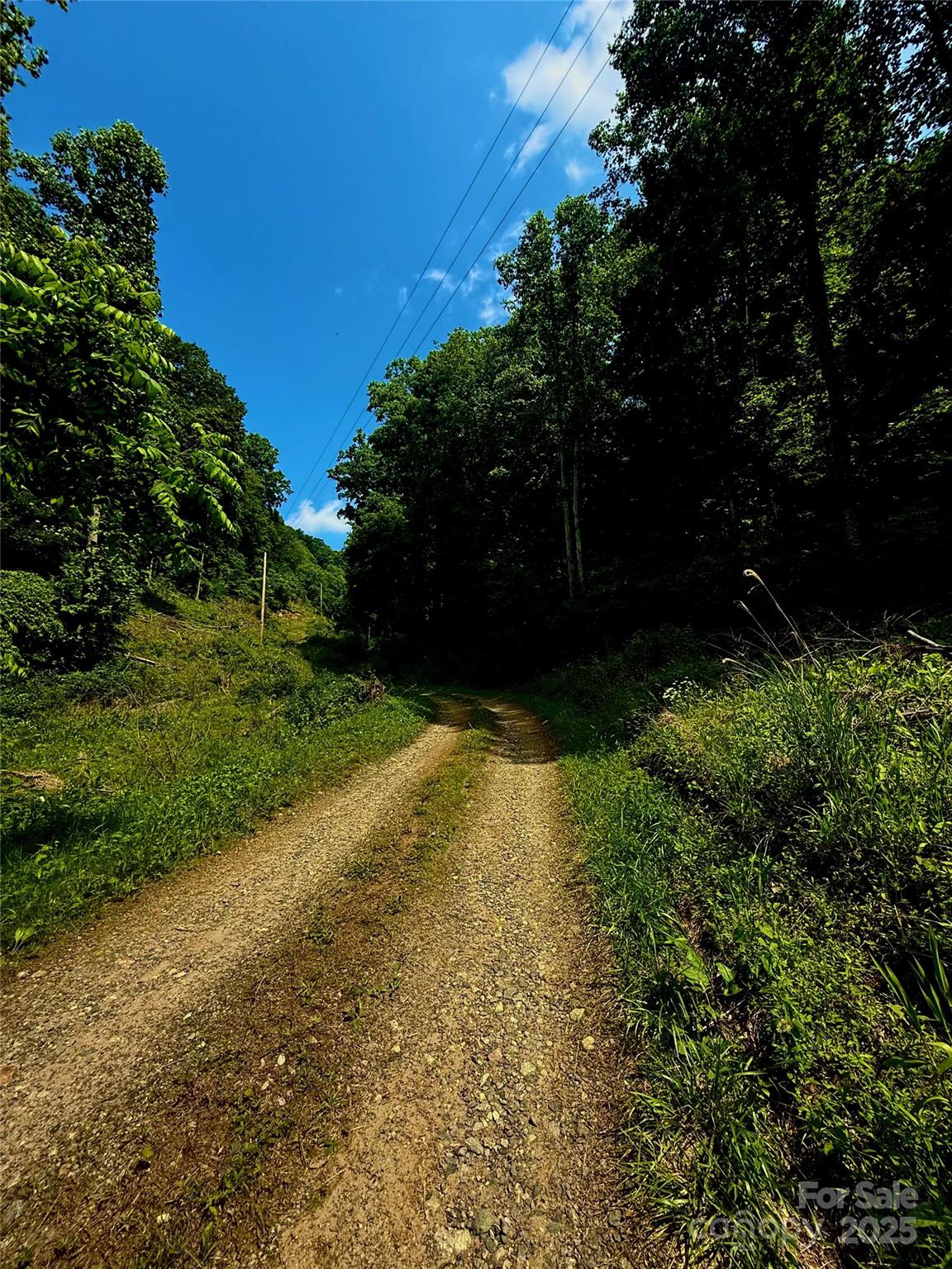 700 Wooded Mountain Trail Mars Hill NC 28754