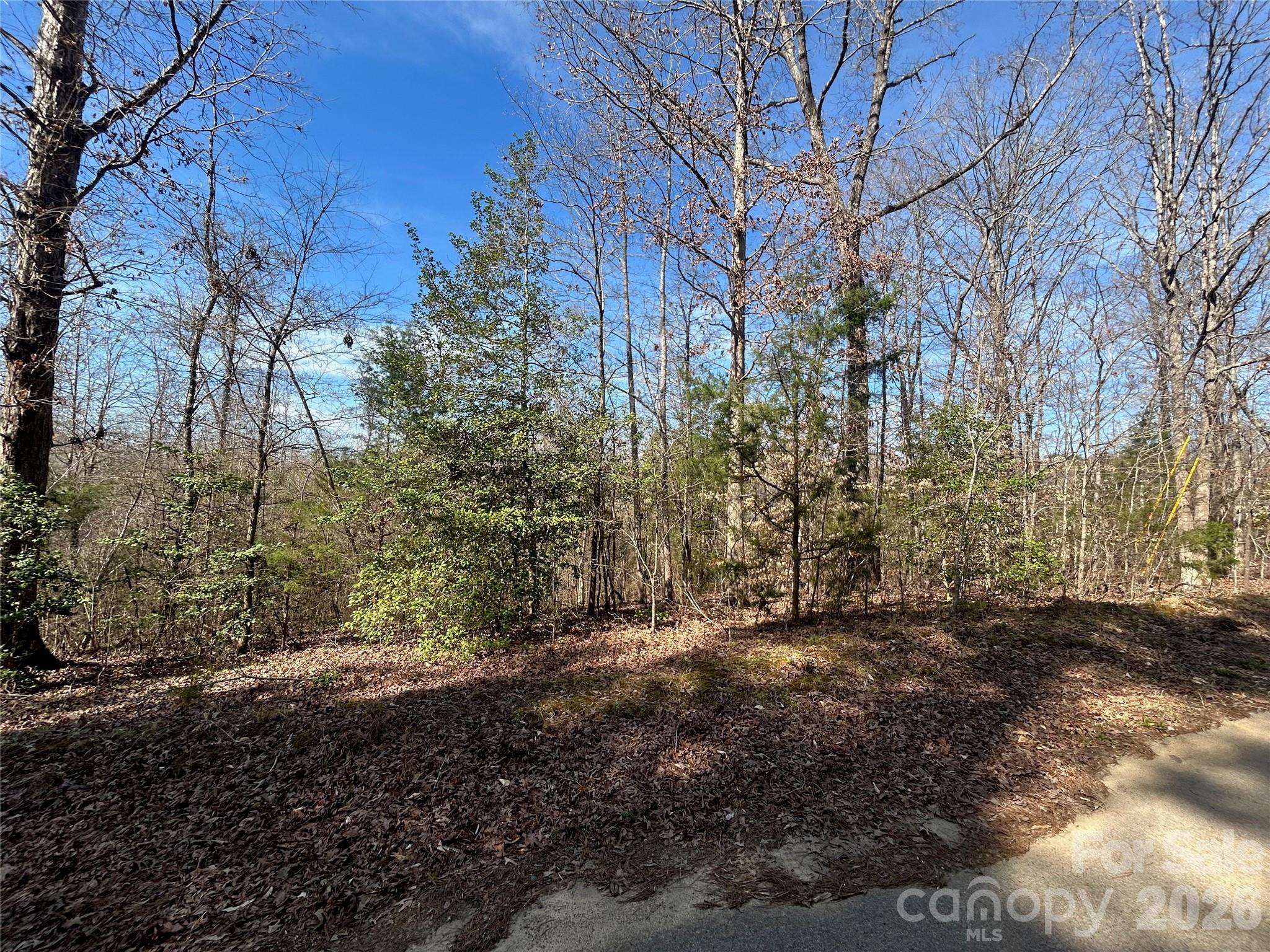Tbd Green Pond Road Indian Land SC 29707