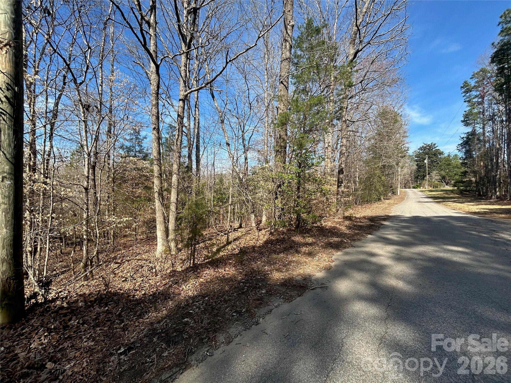 Tbd Green Pond Road Indian Land SC 29707