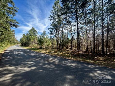 Tbd Green Pond Road Indian Land SC 29707