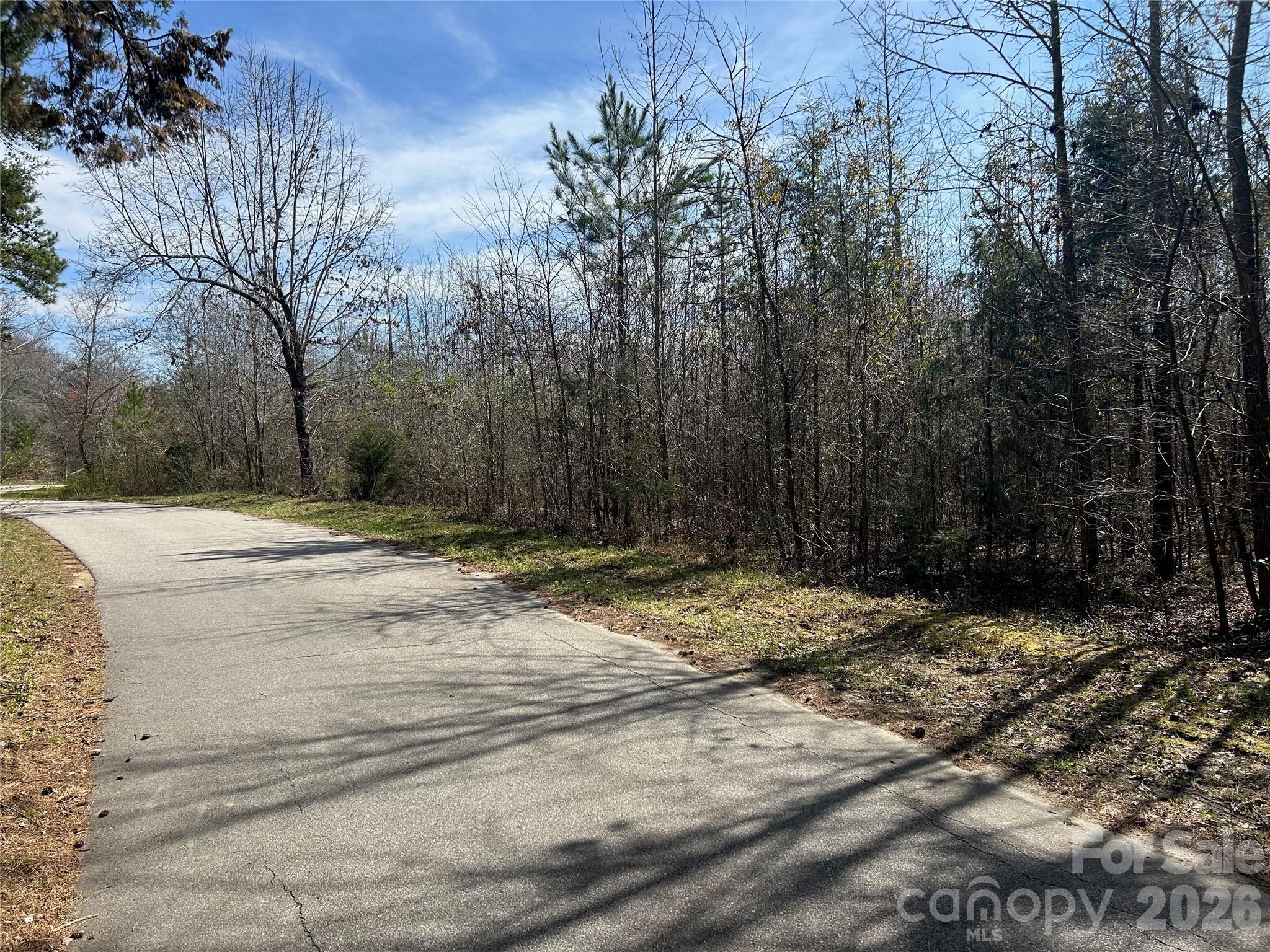 Tbd Green Pond Road Indian Land SC 29707