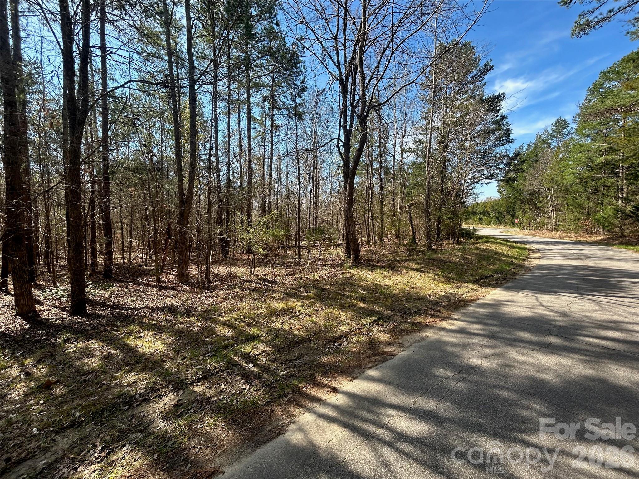 Tbd Green Pond Road Indian Land SC 29707