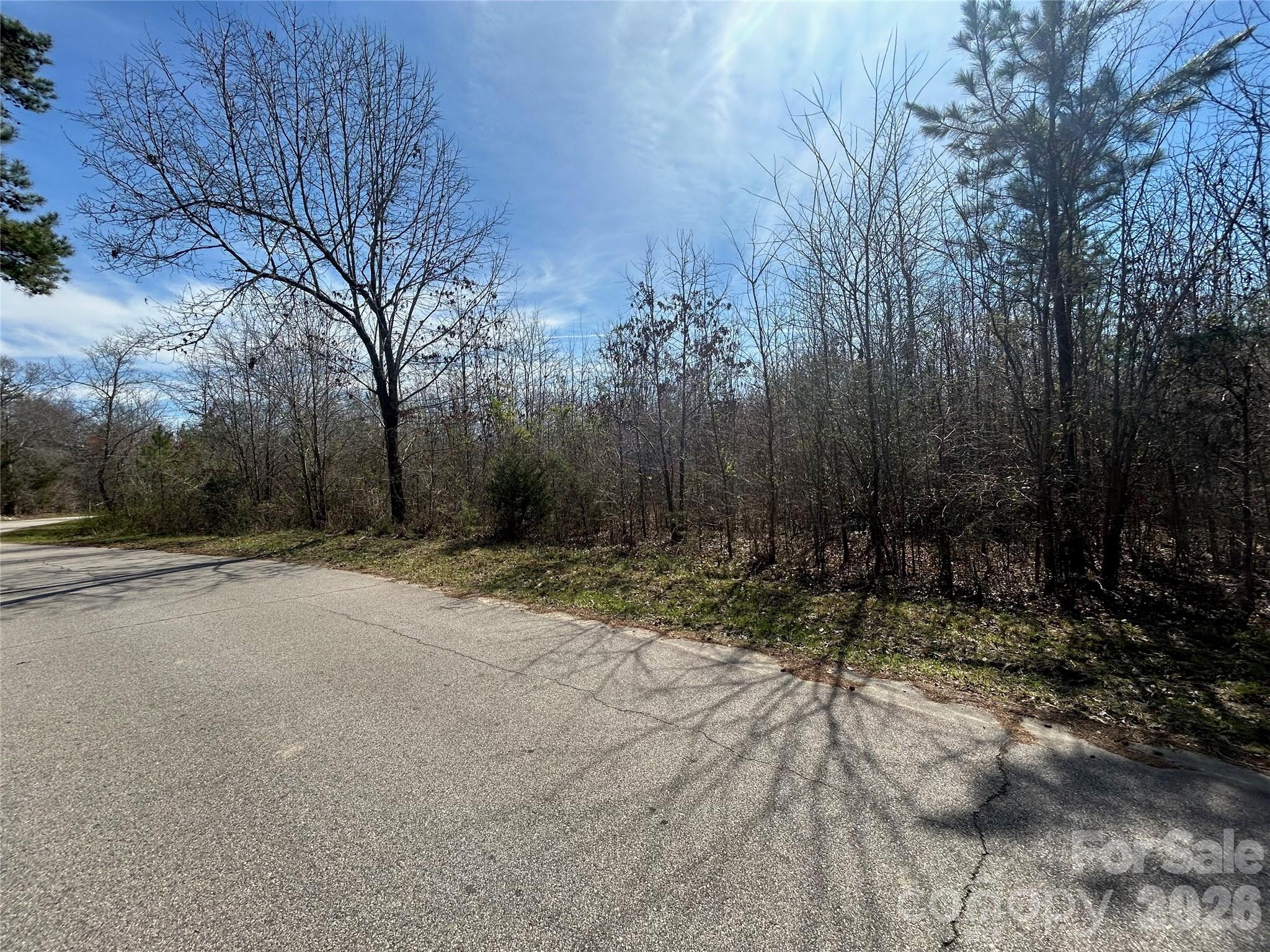 Tbd Green Pond Road Indian Land SC 29707