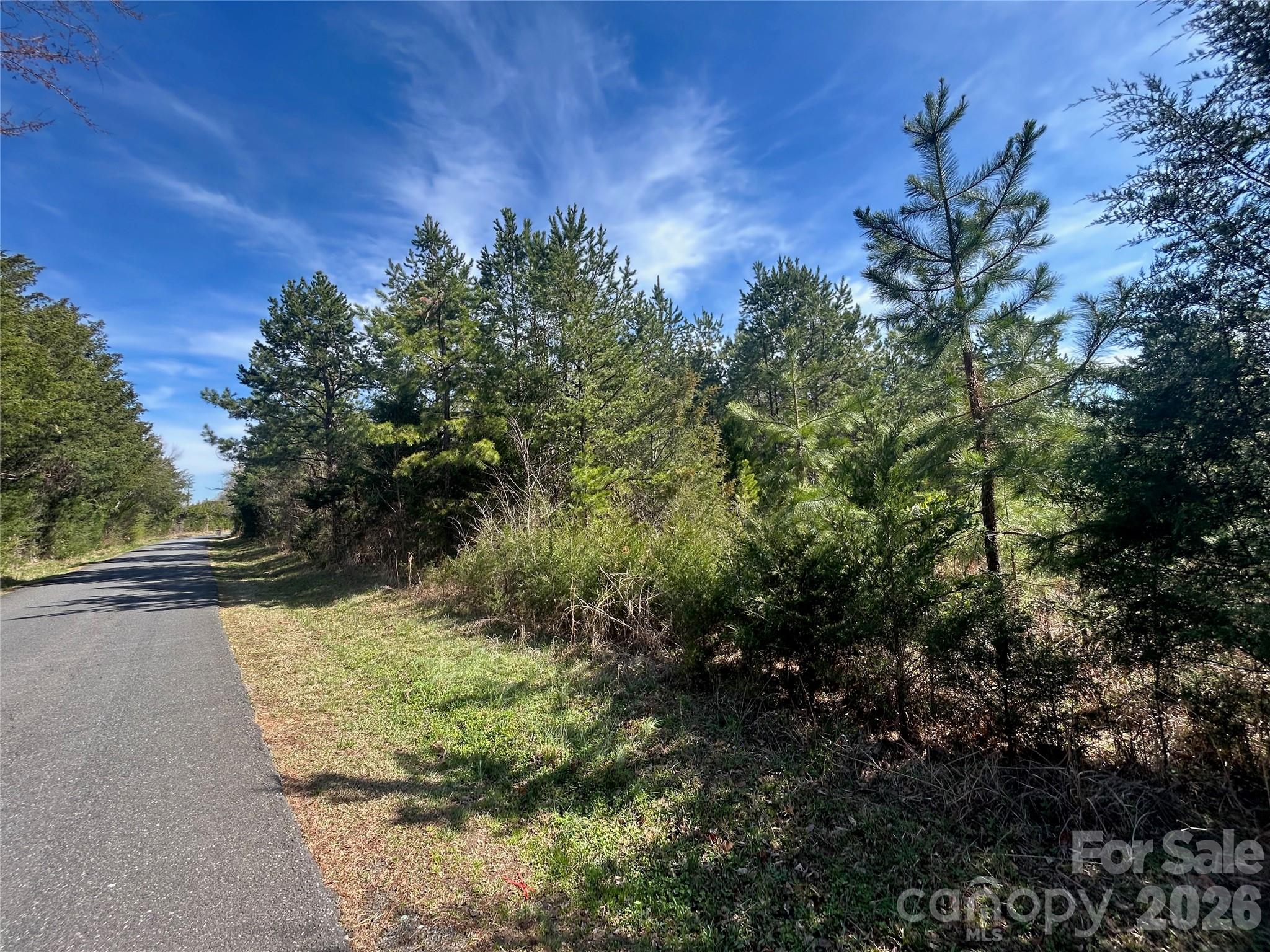 Tbd Green Pond Road Indian Land SC 29707