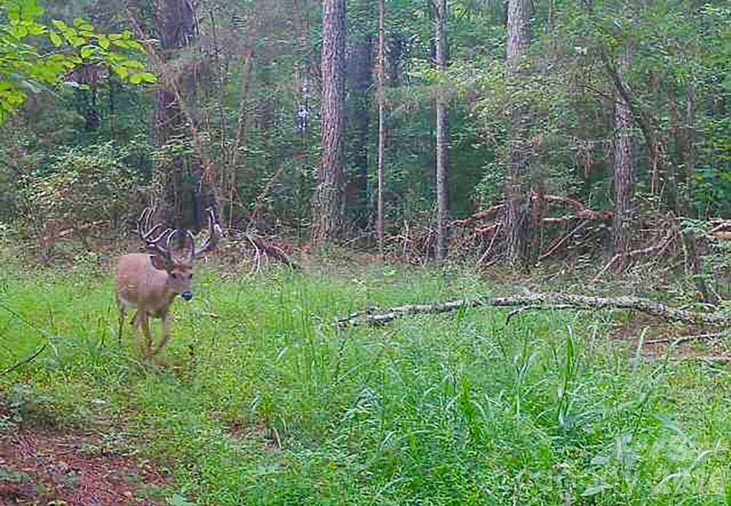 5555 Groves Road Union Mills NC 28167