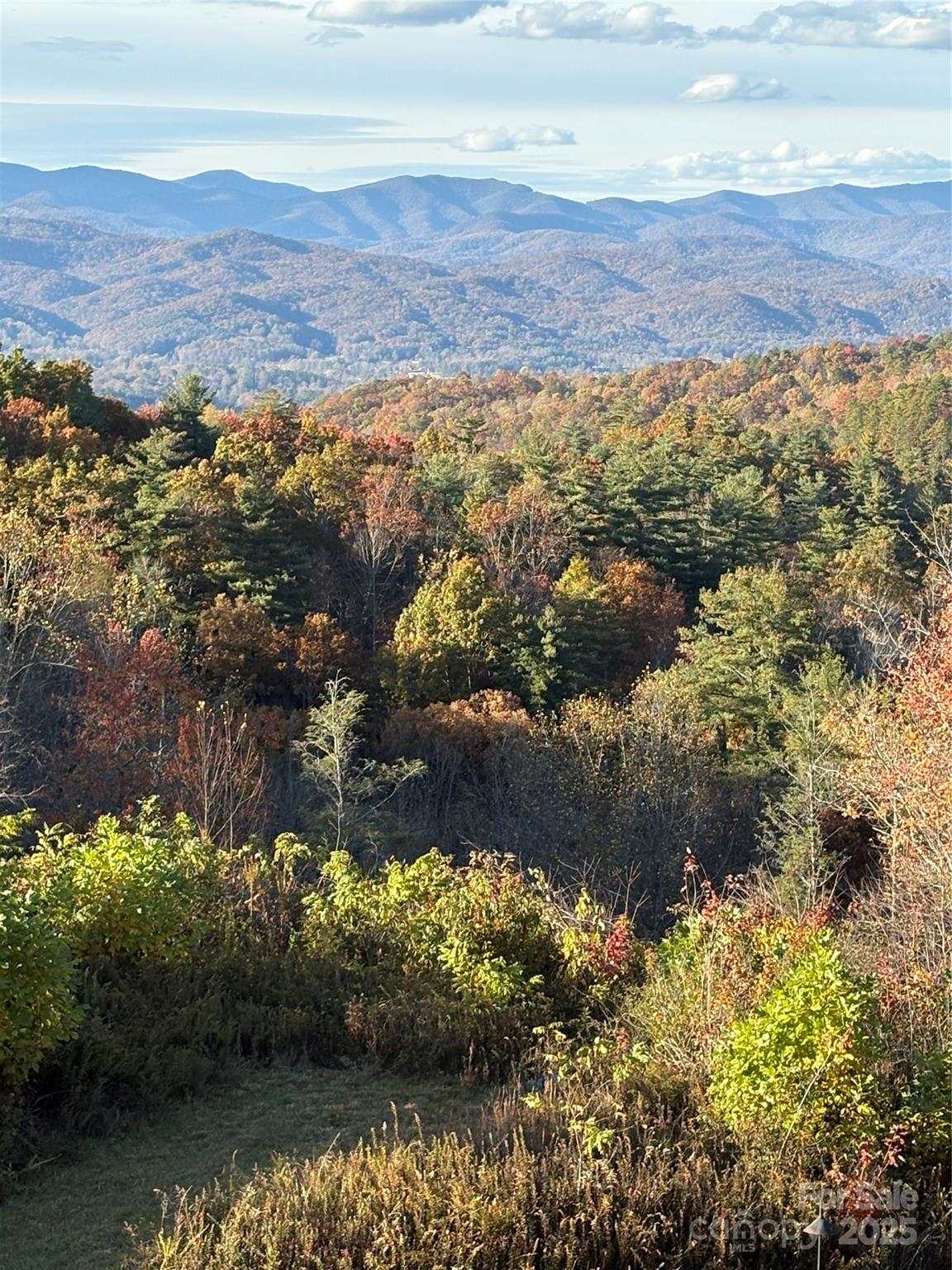 999 Old Spring Road Brevard NC 28712