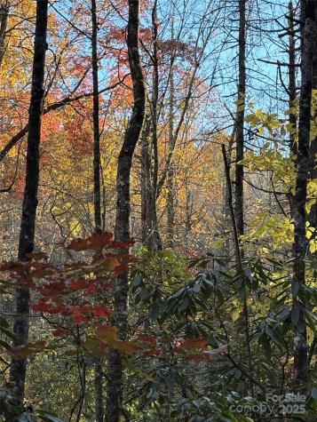 999 Old Spring Road Brevard NC 28712