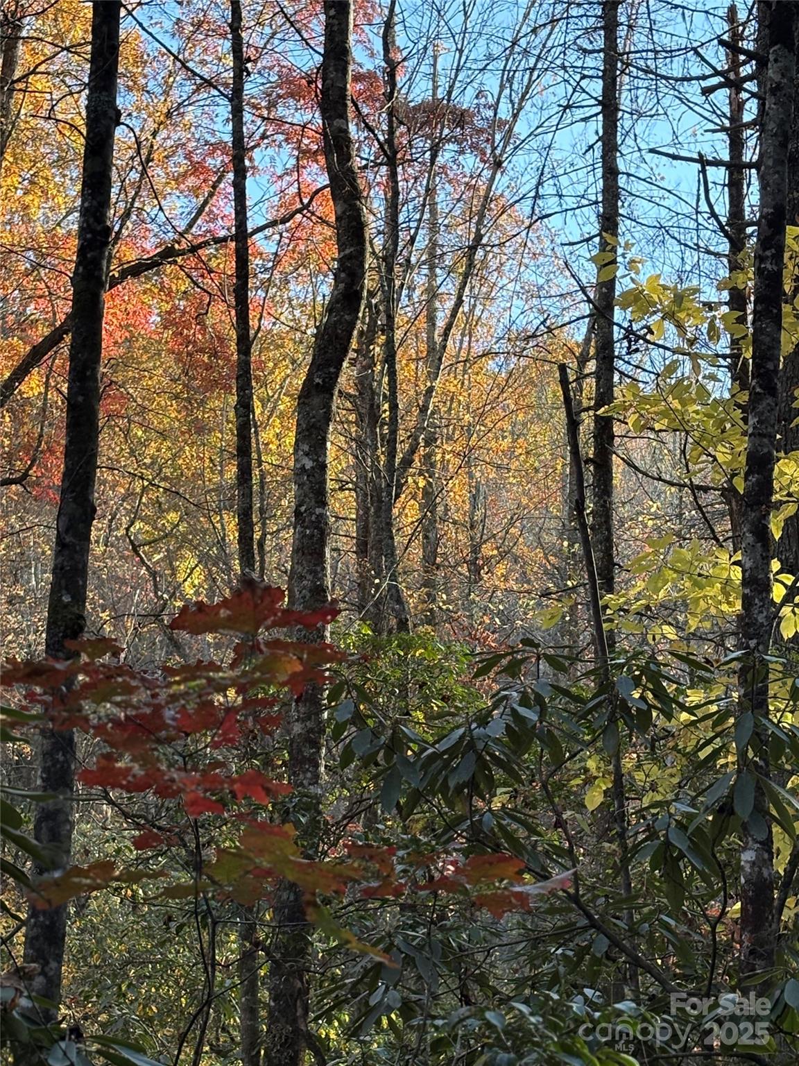 999 Old Spring Road Brevard NC 28712