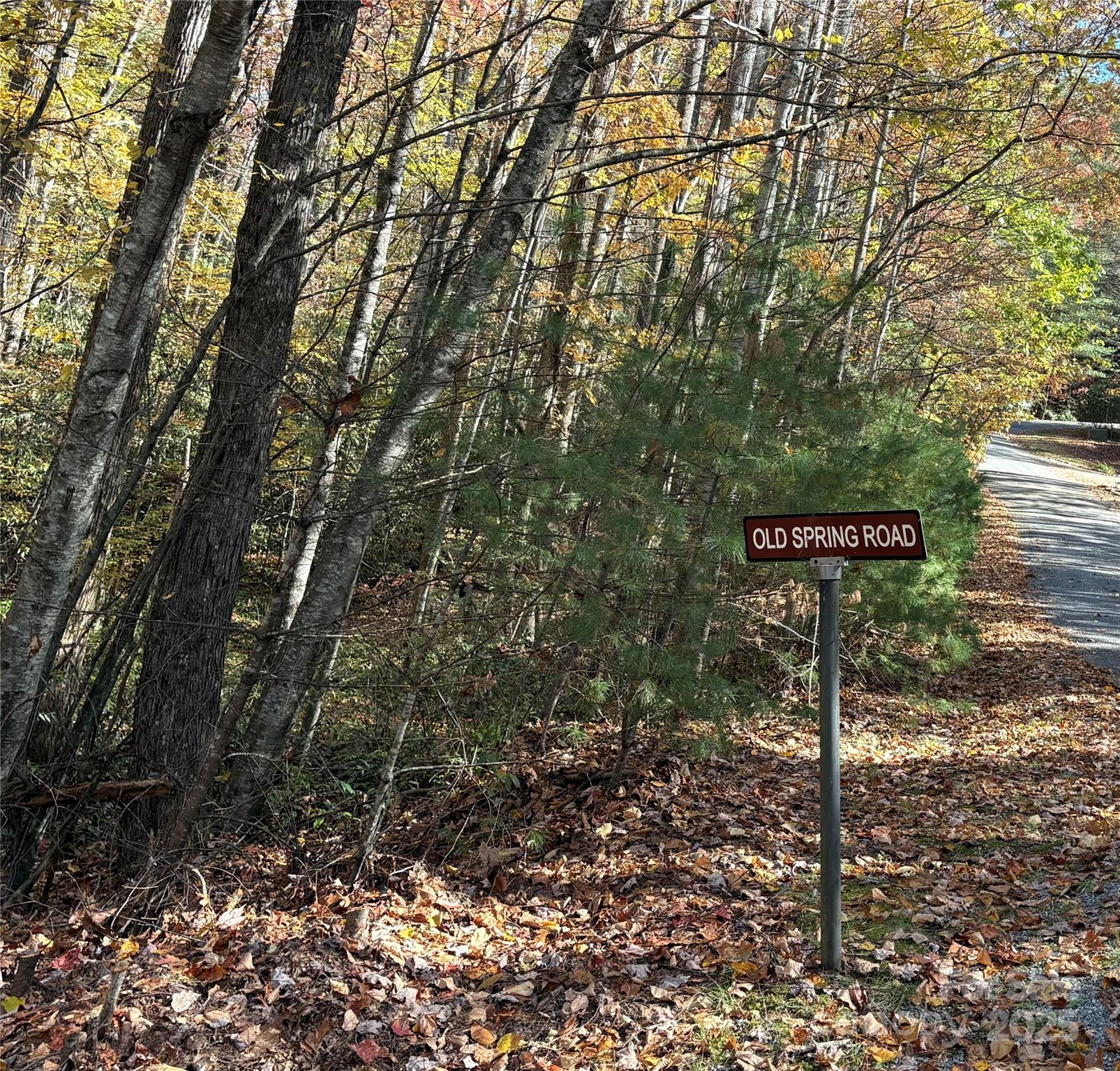 999 Old Spring Road Brevard NC 28712