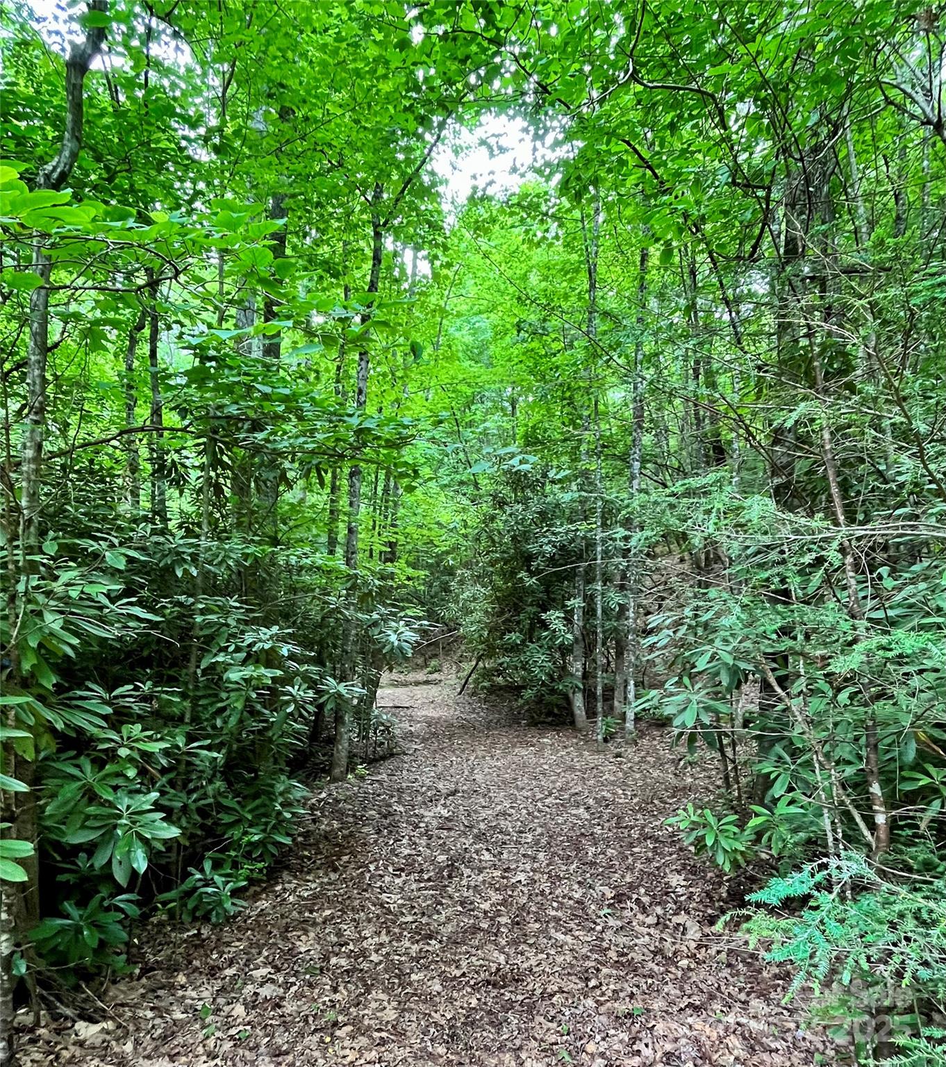 999 Old Spring Road Brevard NC 28712