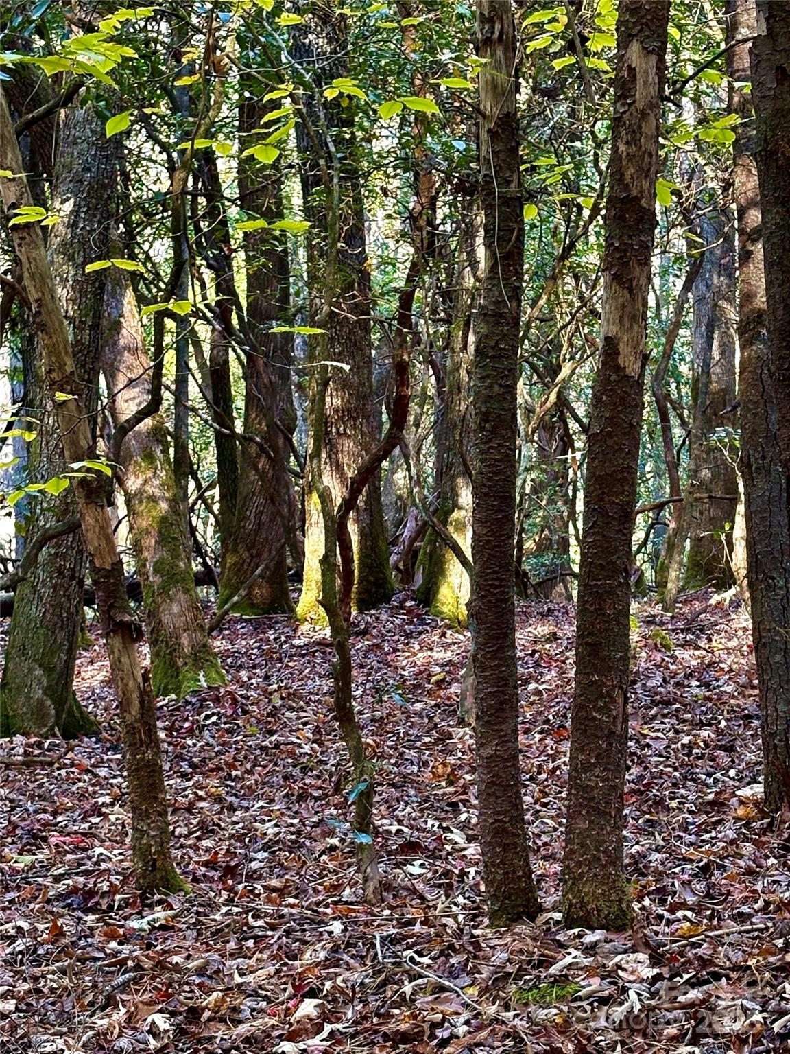 999 Old Spring Road Brevard NC 28712