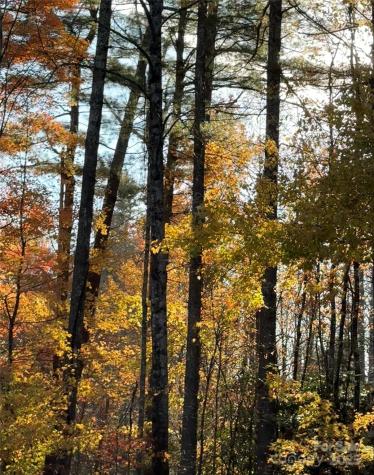 999 Old Spring Road Brevard NC 28712