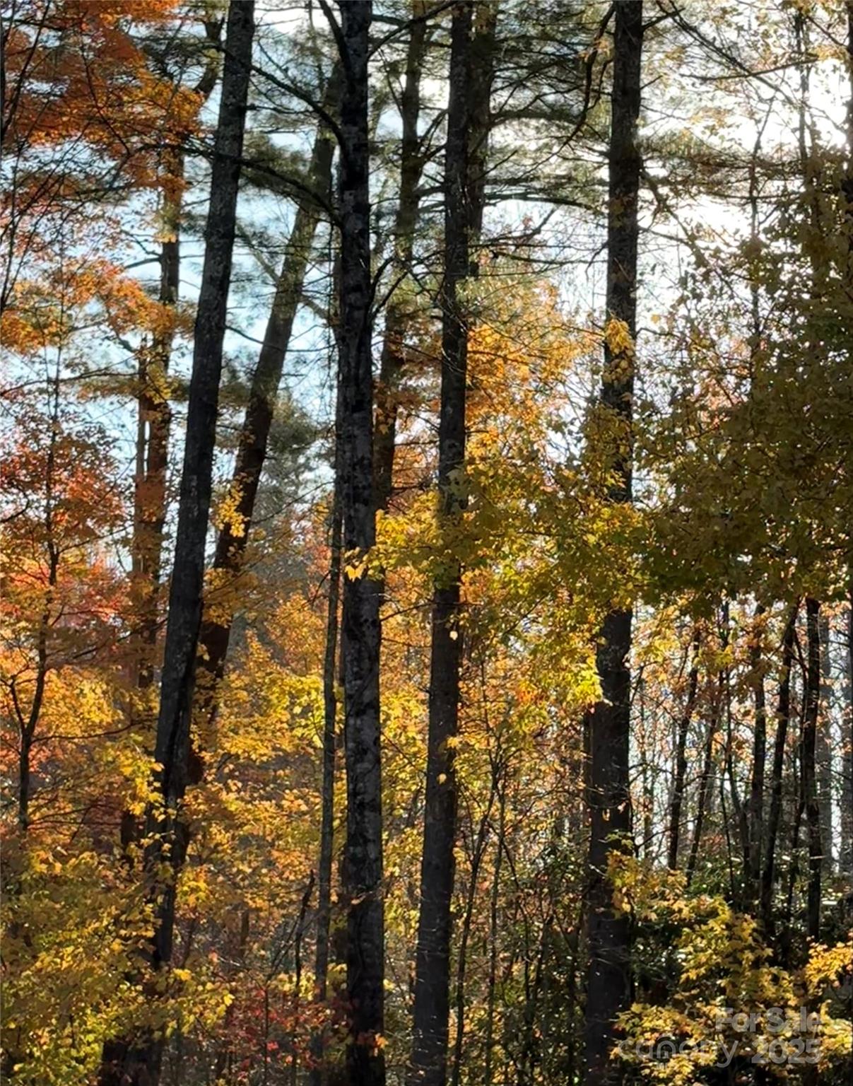 999 Old Spring Road Brevard NC 28712