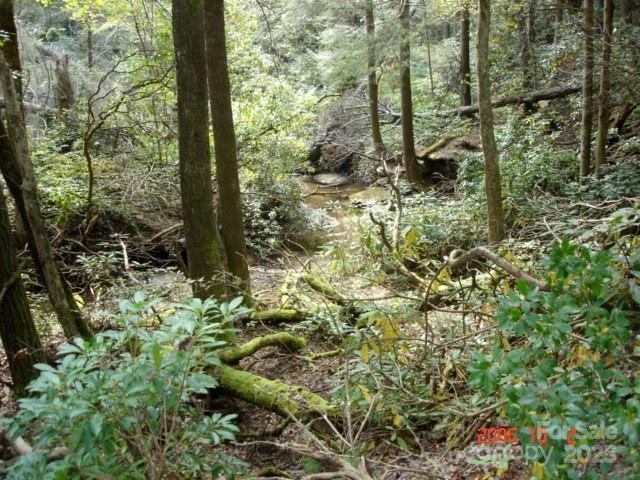 999 Old Spring Road Brevard NC 28712