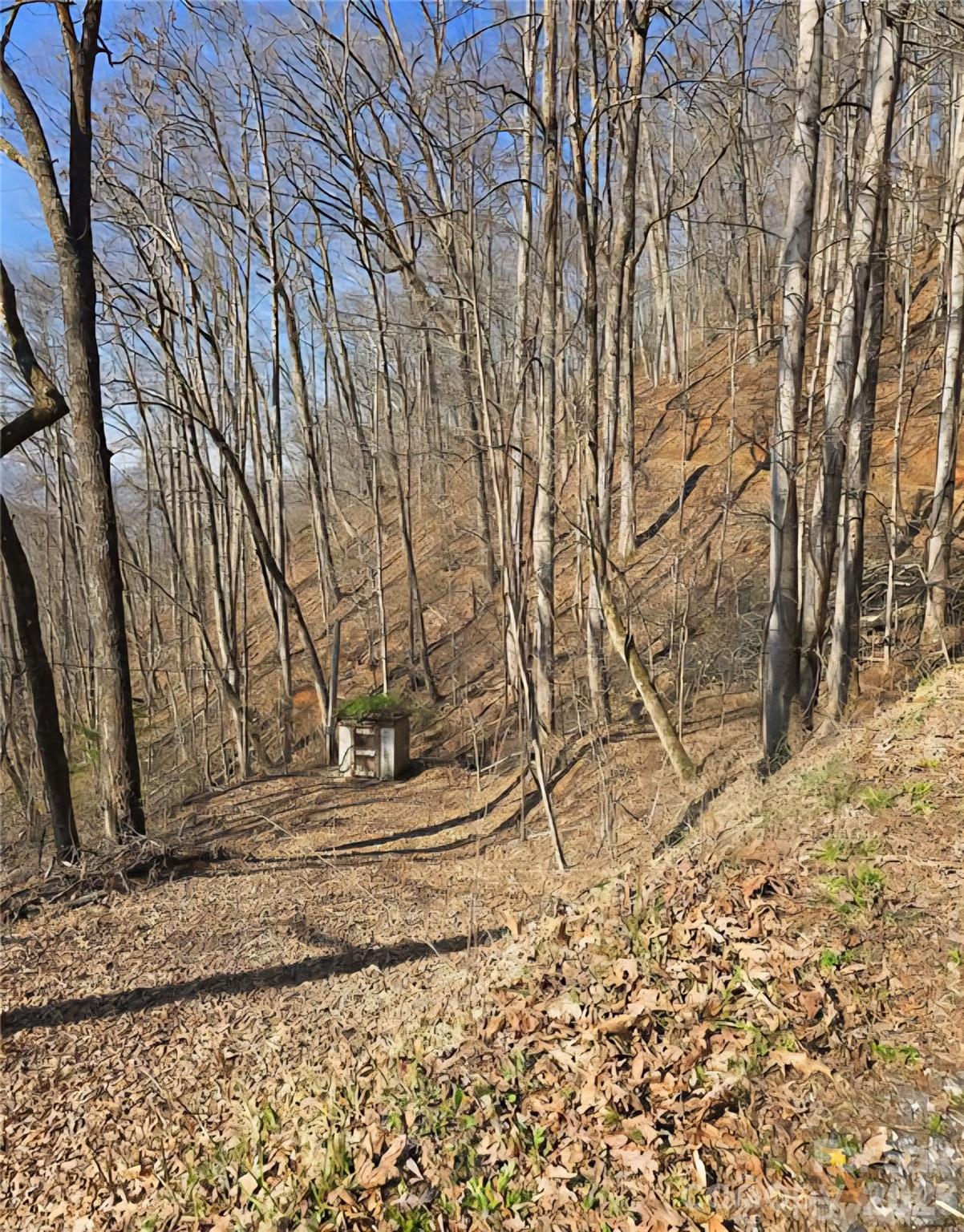 32 Black Mountain Road Cullowhee NC 28723