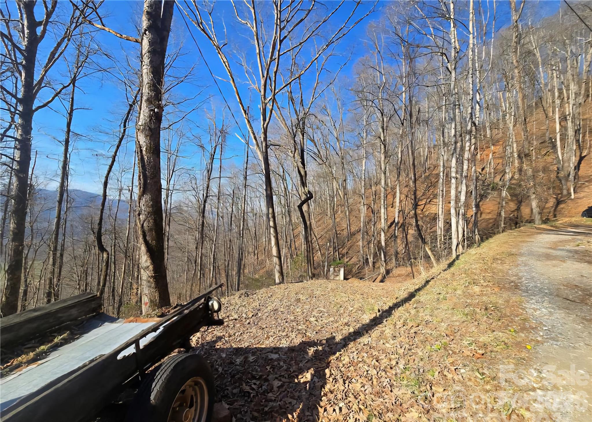 32 Black Mountain Road Cullowhee NC 28723