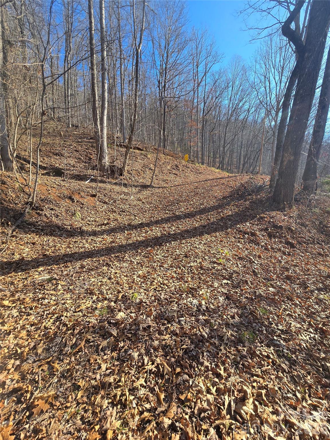 32 Black Mountain Road Cullowhee NC 28723