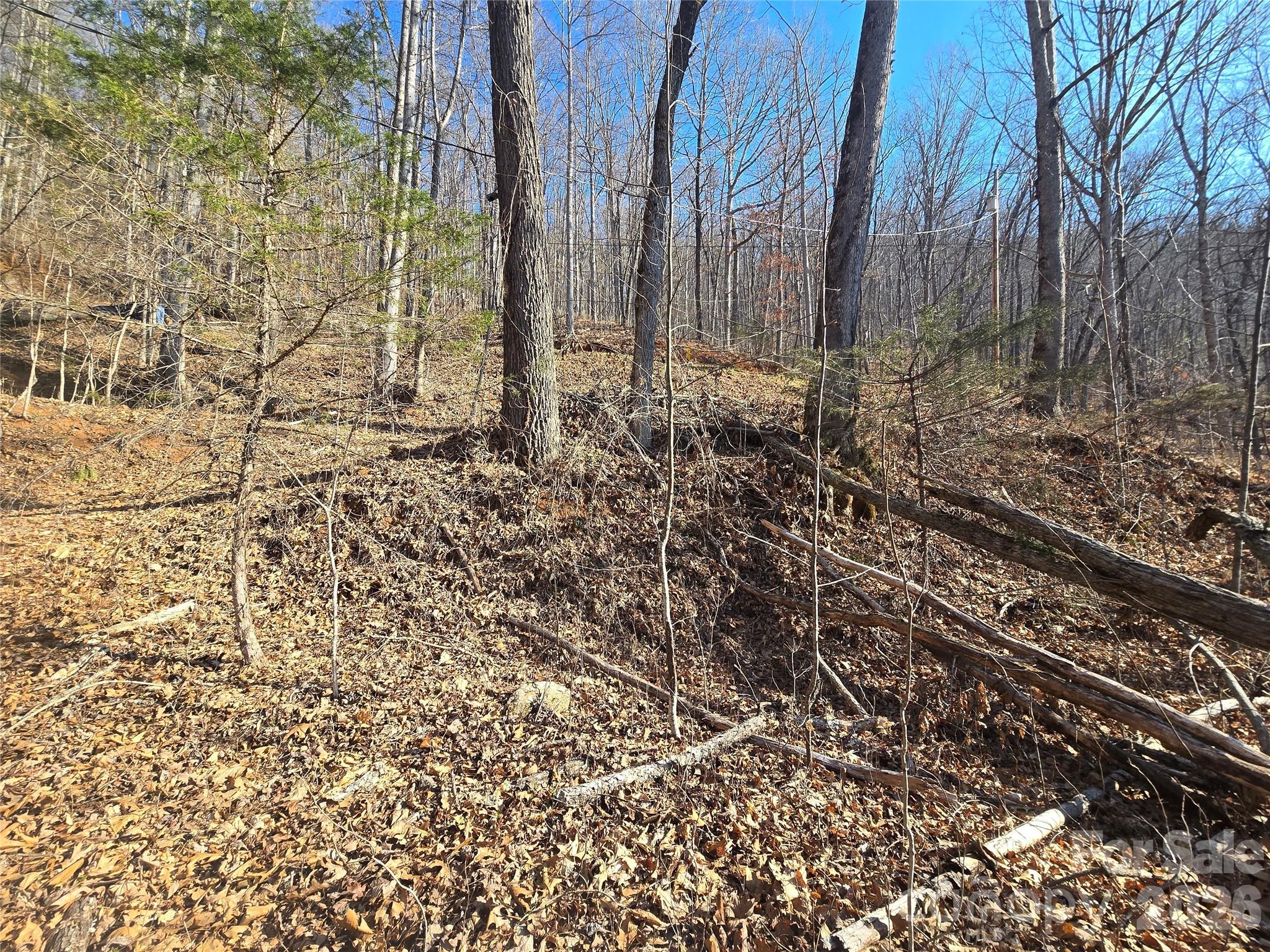 32 Black Mountain Road Cullowhee NC 28723