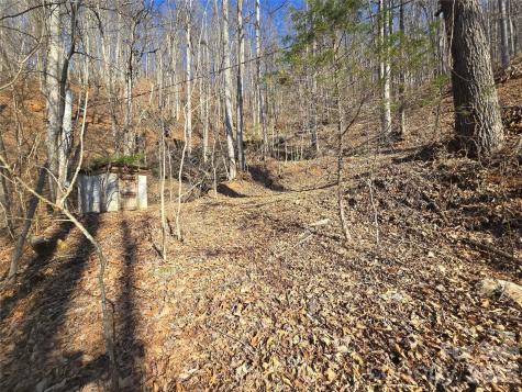 32 Black Mountain Road Cullowhee NC 28723