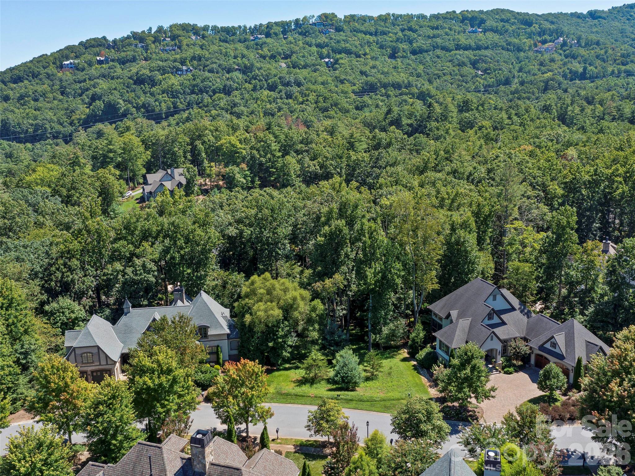 19 Mountain Orchid Way Arden NC 28704
