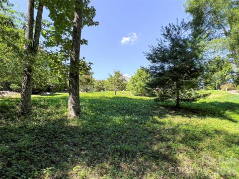 19 Mountain Orchid Way Arden NC 28704