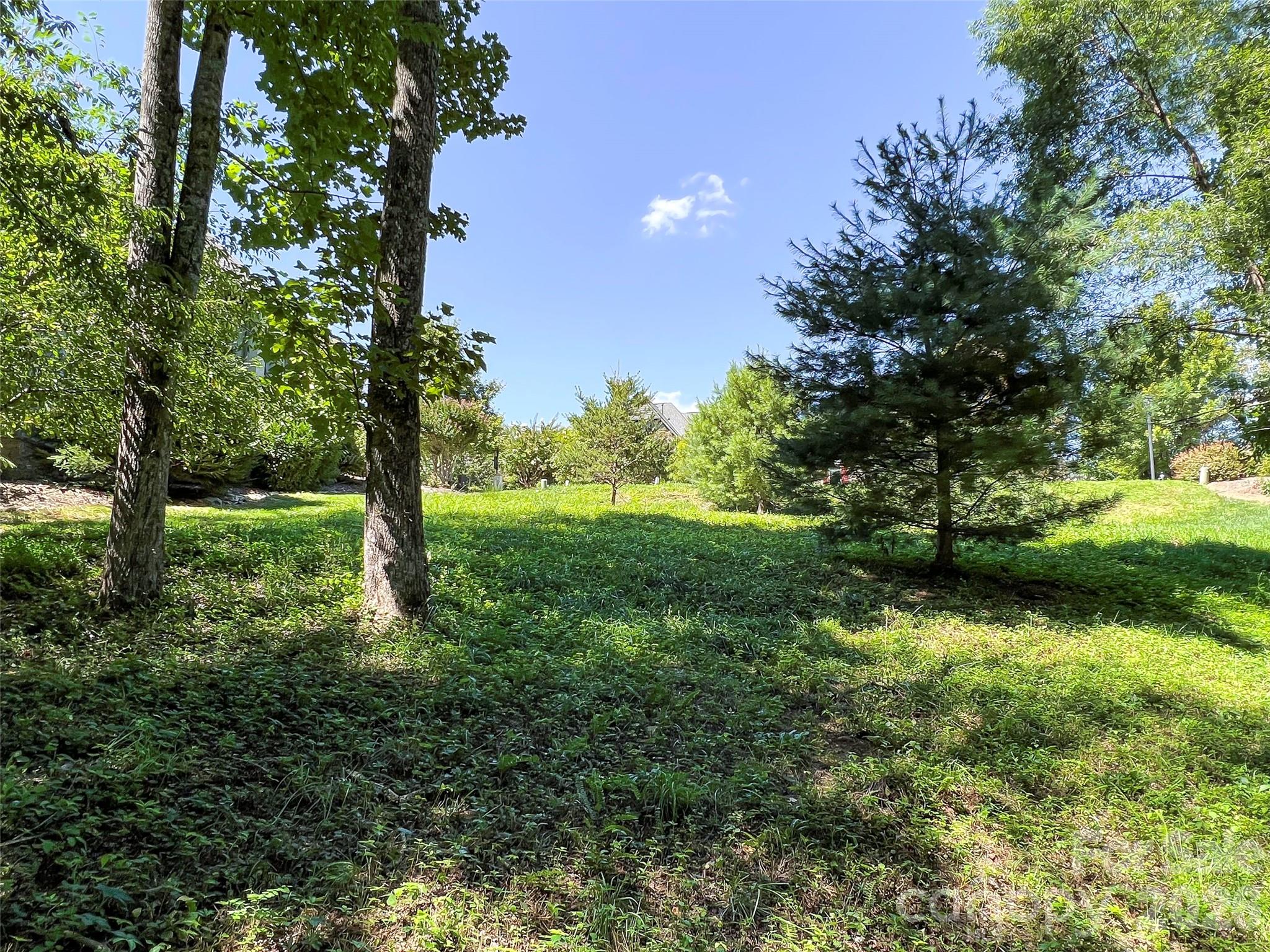 19 Mountain Orchid Way Arden NC 28704