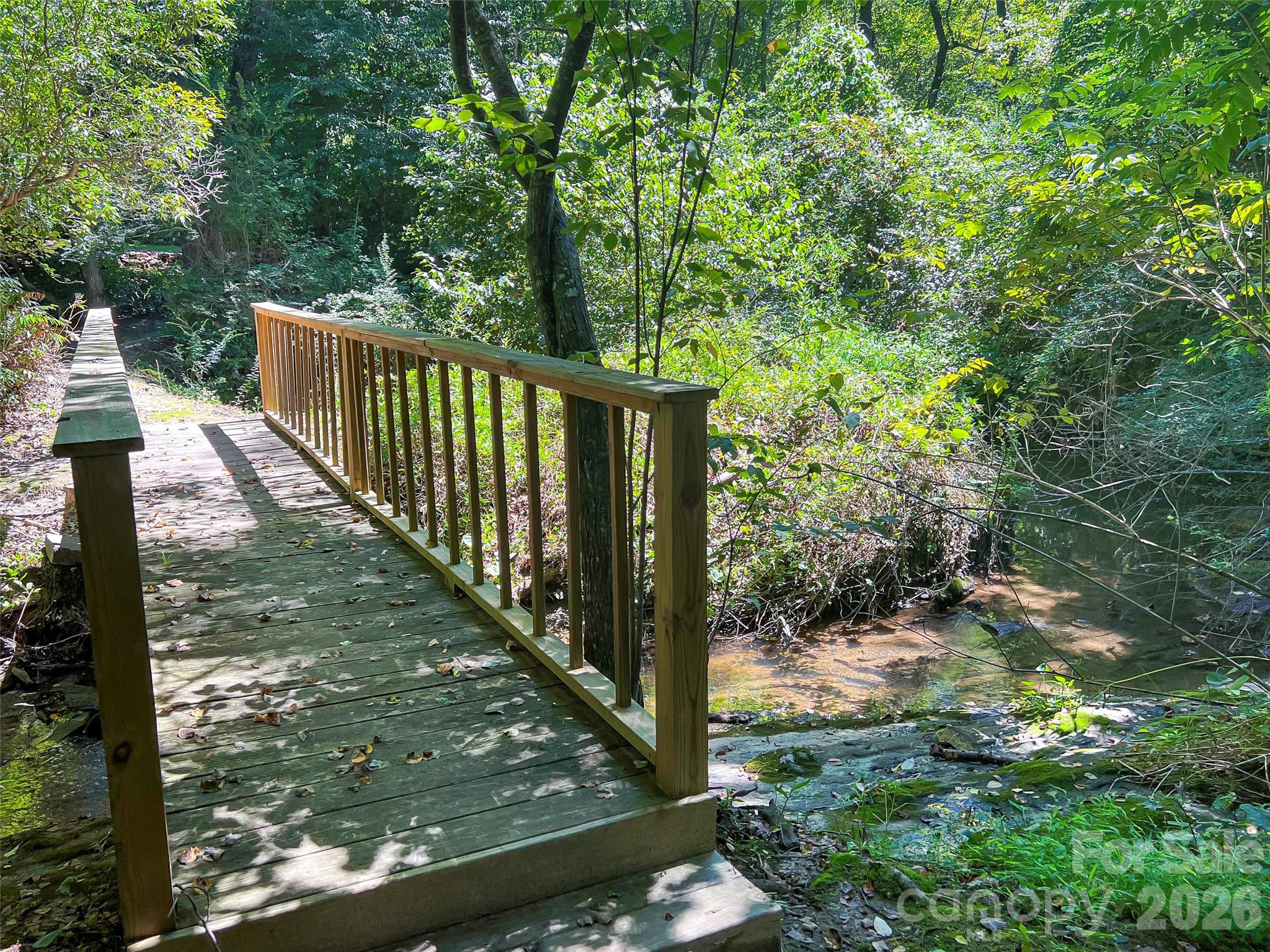 19 Mountain Orchid Way Arden NC 28704
