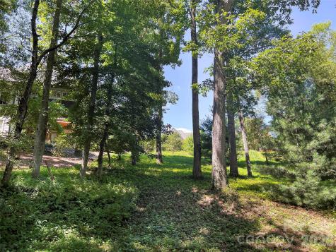 19 Mountain Orchid Way Arden NC 28704