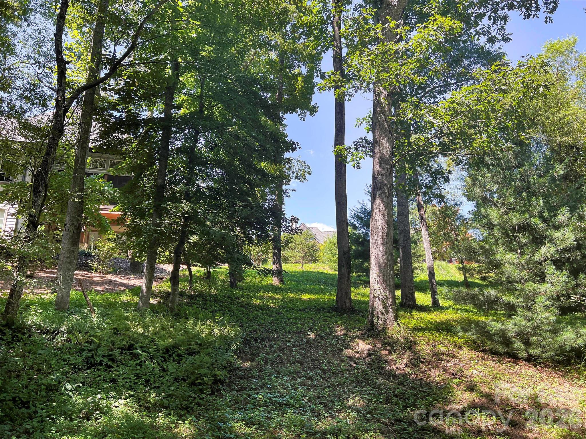 19 Mountain Orchid Way Arden NC 28704