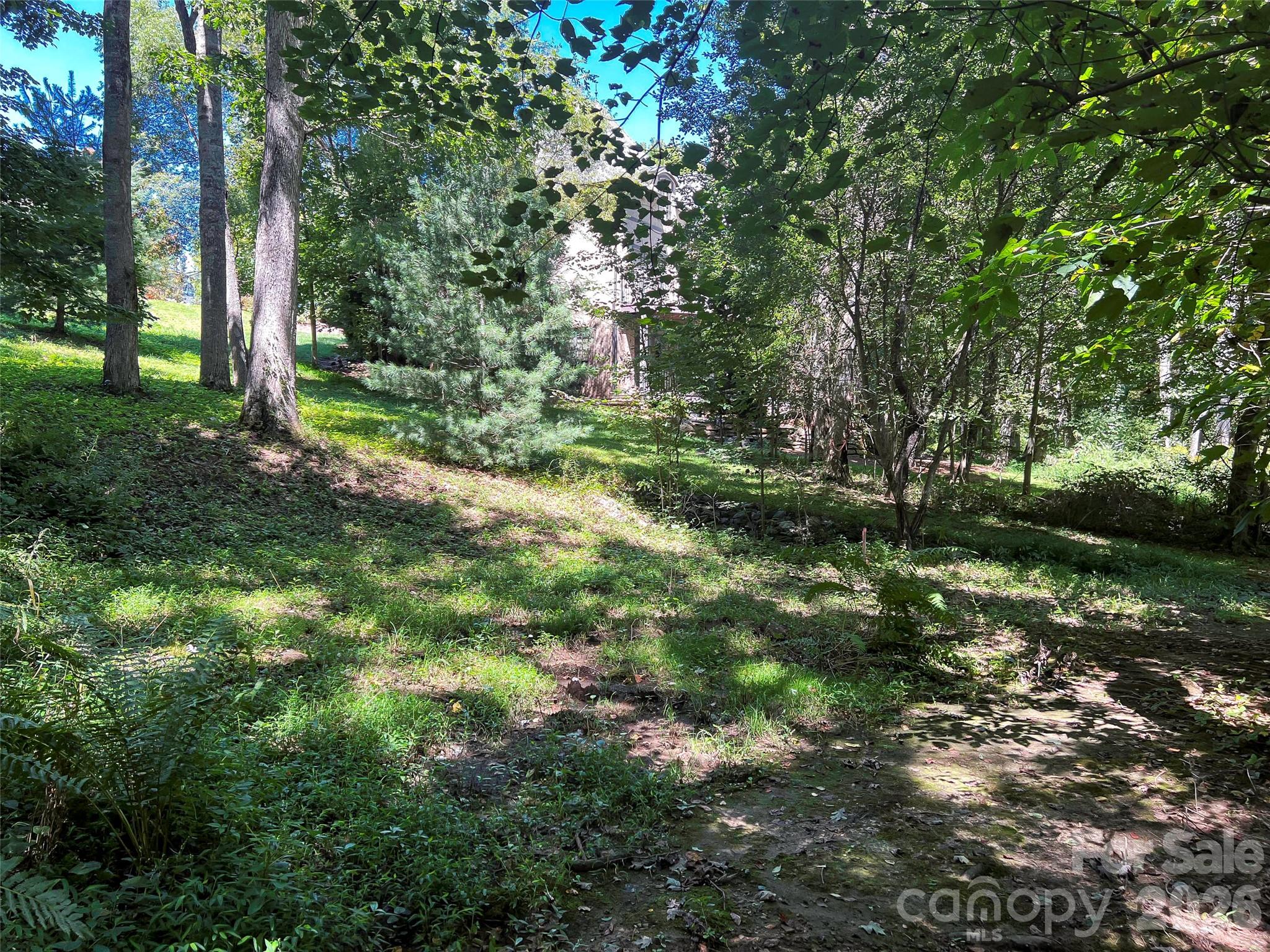 19 Mountain Orchid Way Arden NC 28704