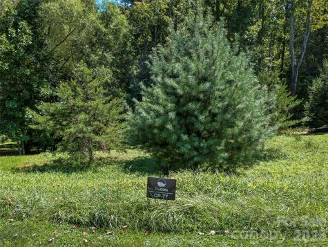 19 Mountain Orchid Way Arden NC 28704