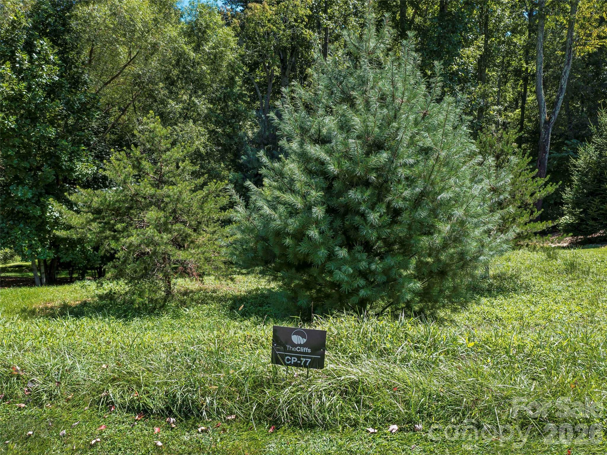 19 Mountain Orchid Way Arden NC 28704