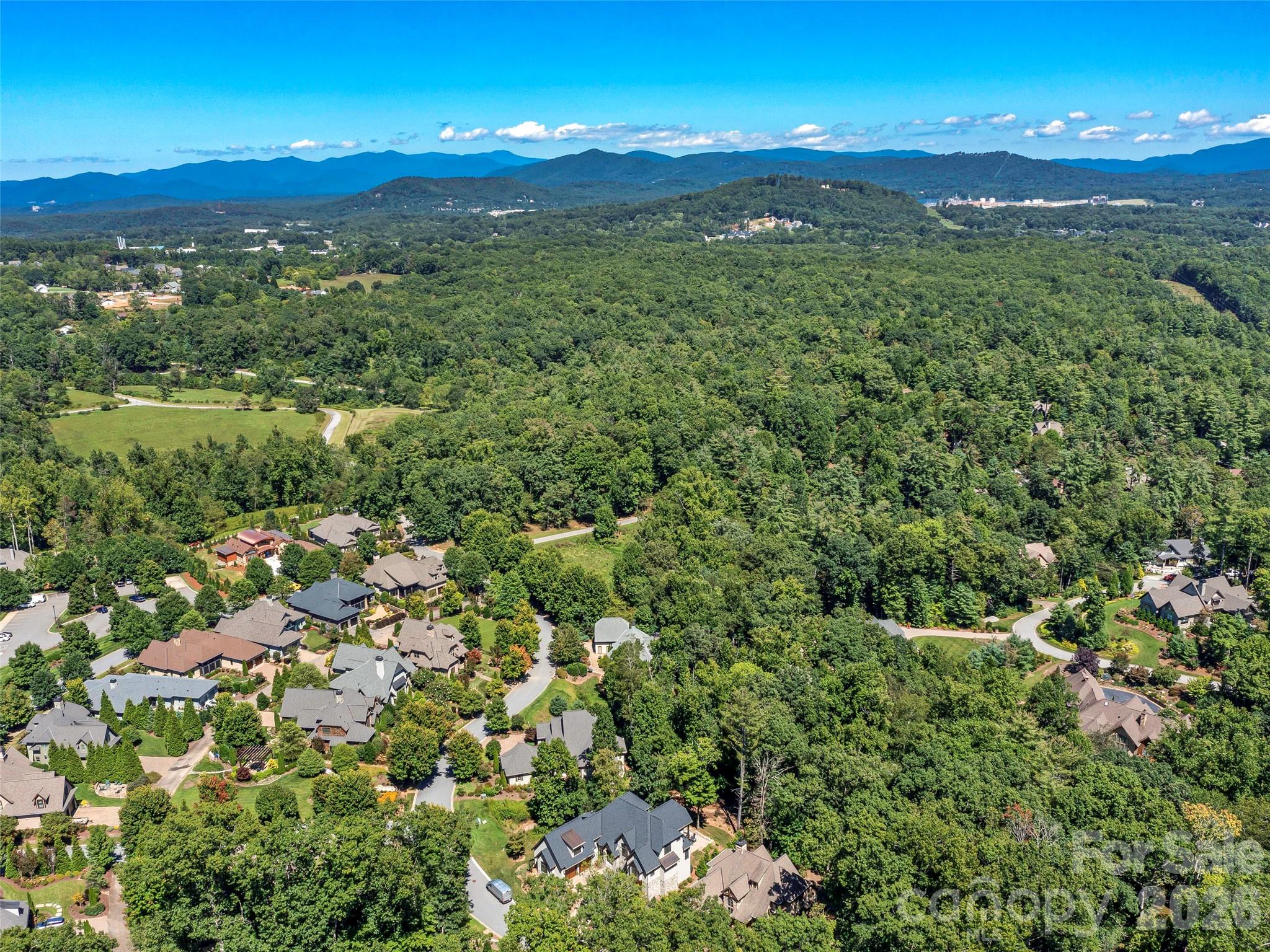 19 Mountain Orchid Way Arden NC 28704