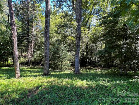 19 Mountain Orchid Way Arden NC 28704