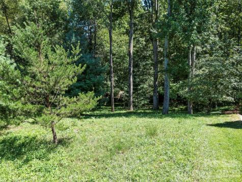 19 Mountain Orchid Way Arden NC 28704