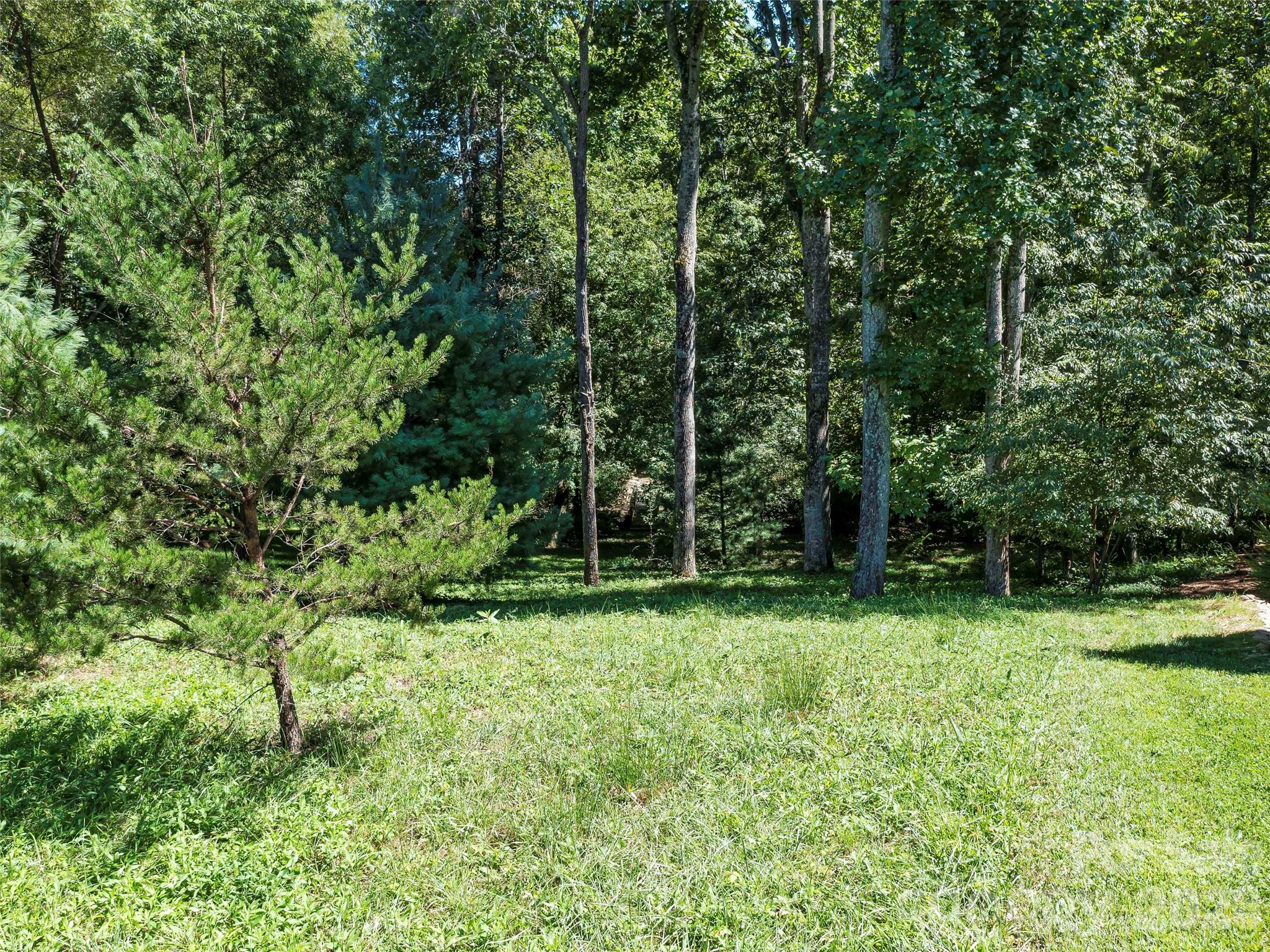 19 Mountain Orchid Way Arden NC 28704