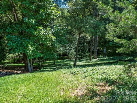 19 Mountain Orchid Way Arden NC 28704