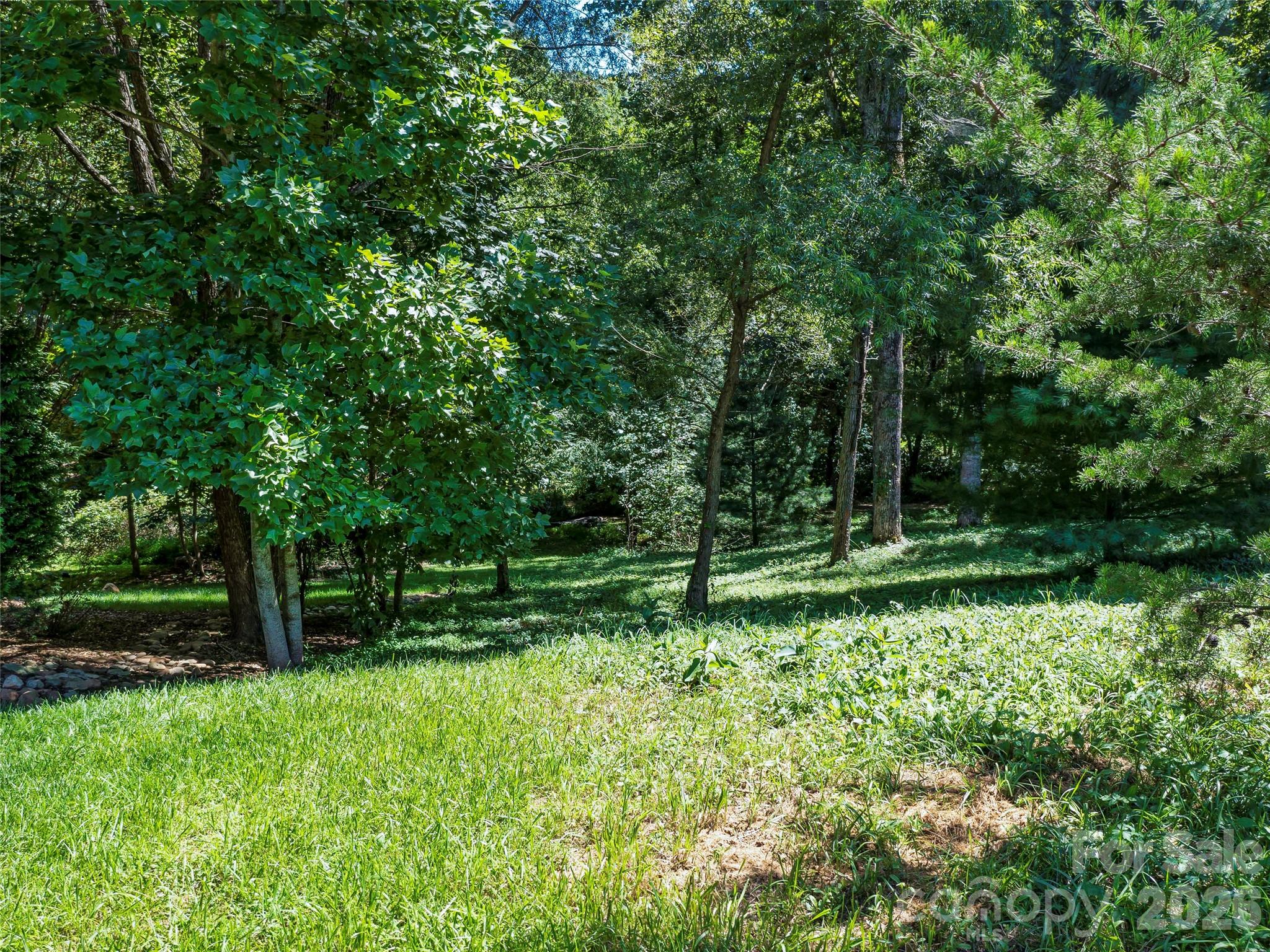 19 Mountain Orchid Way Arden NC 28704