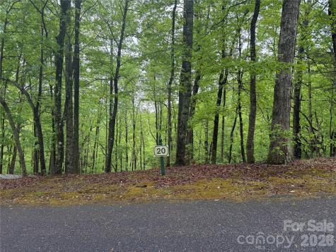 39 Black Bear Ridge Trail Zirconia NC 28790