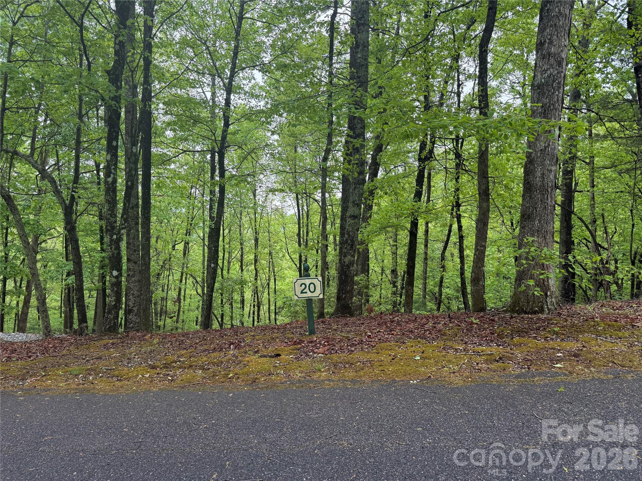39 Black Bear Ridge Trail Zirconia NC 28790