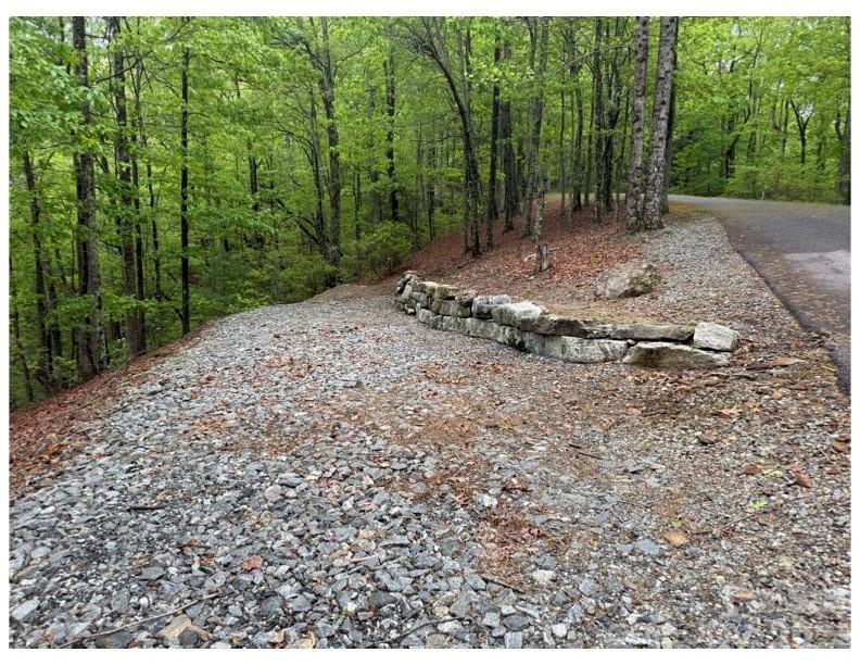 39 Black Bear Ridge Trail Zirconia NC 28790